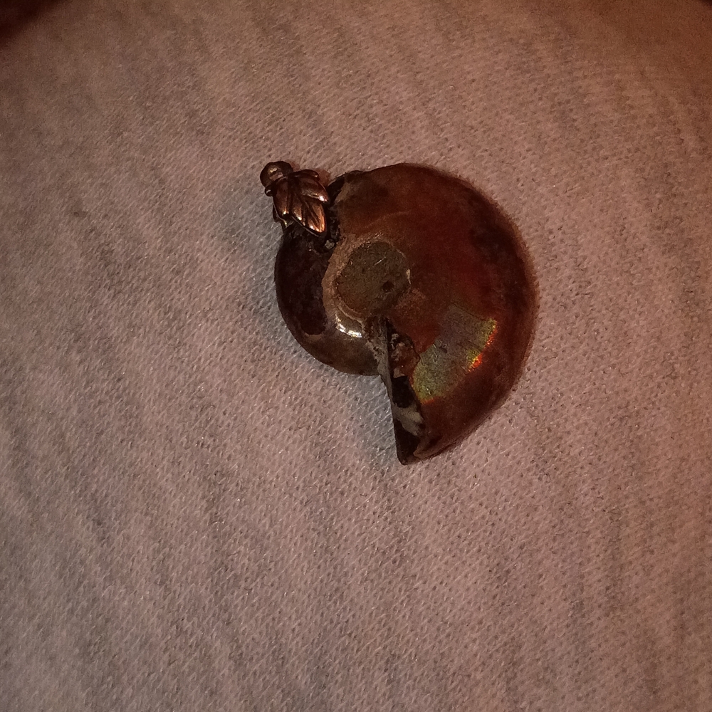 Iridescent Ammonite Fossil Pendant